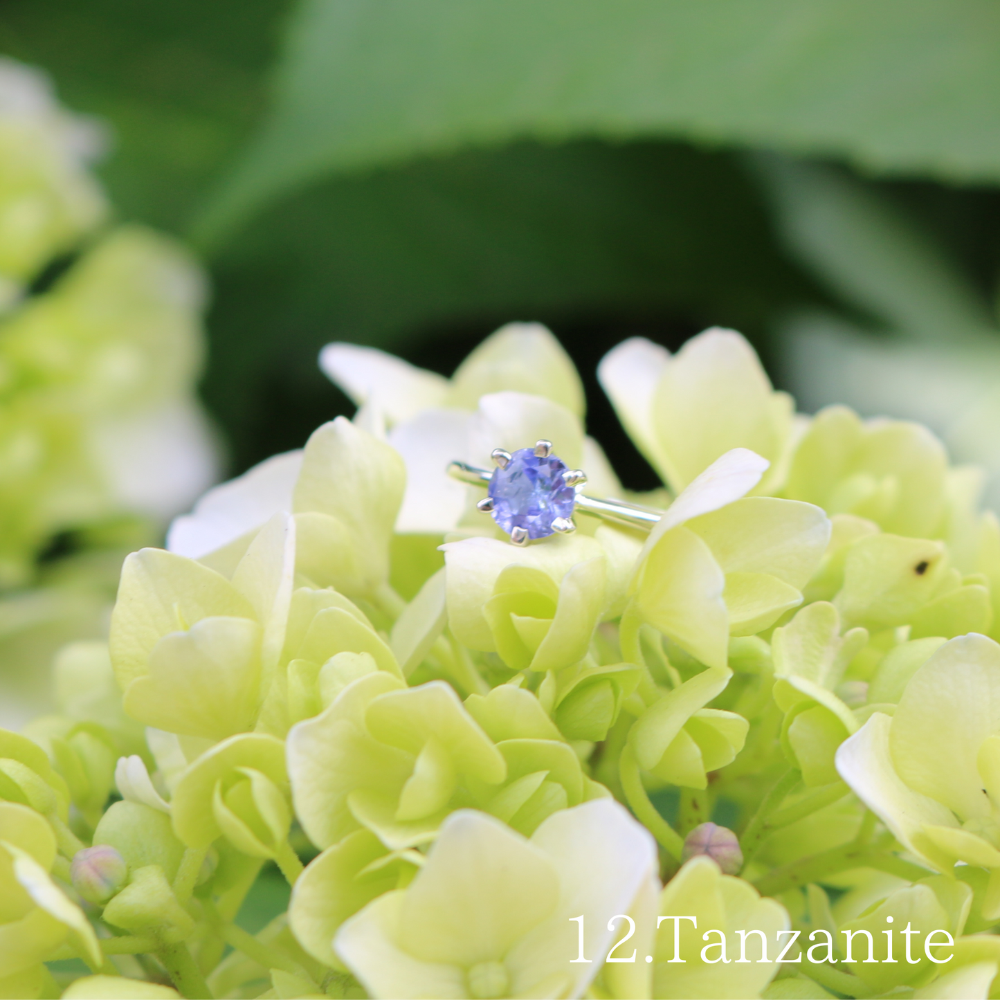 Birth Rings (誕生石付きネックレス)