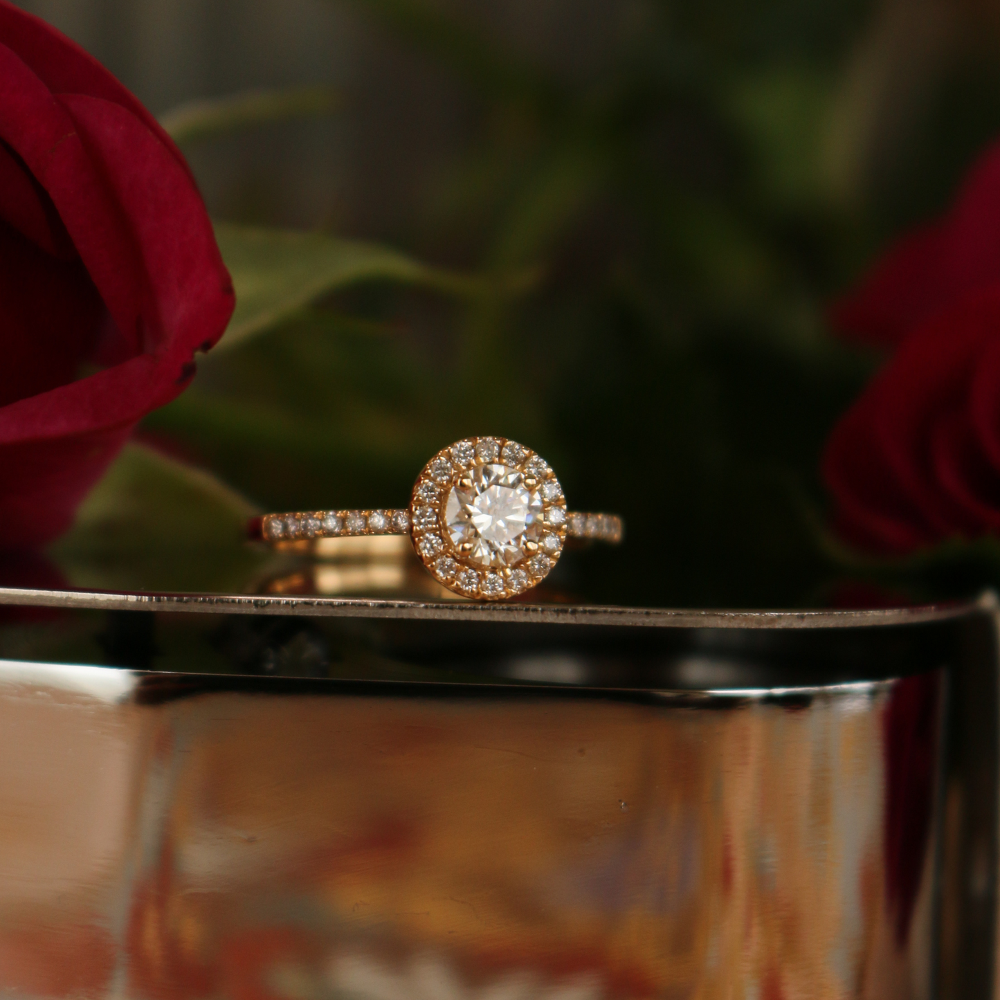 ダイヤモンドヘイローリング A Diamond Halo Ring / Eternal Engagement -