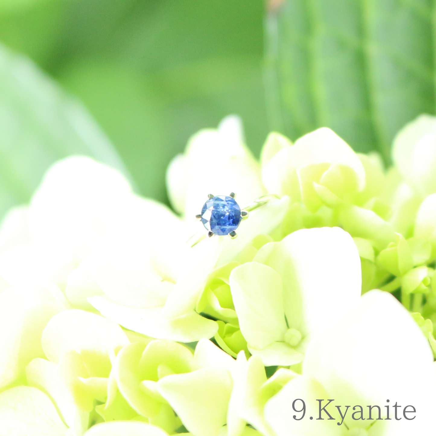Birth Rings (誕生石付きネックレス)